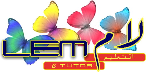 LEM eTutor